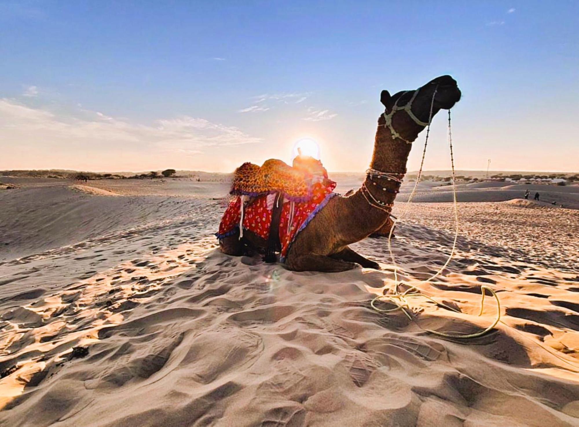 Jaisalmer Sand Dunes Luxury Camp And Resort Exteriör bild