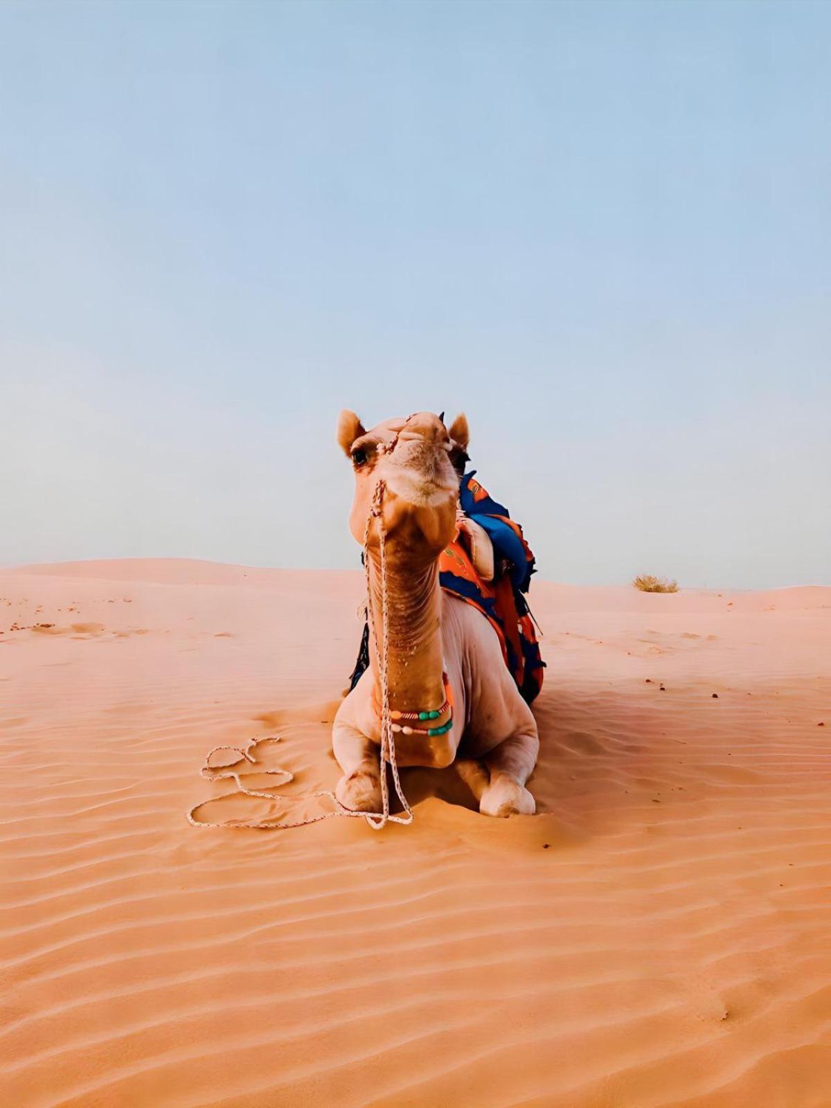 Jaisalmer Sand Dunes Luxury Camp And Resort Exteriör bild